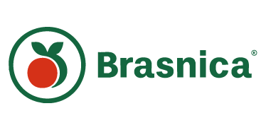 BRASNICA